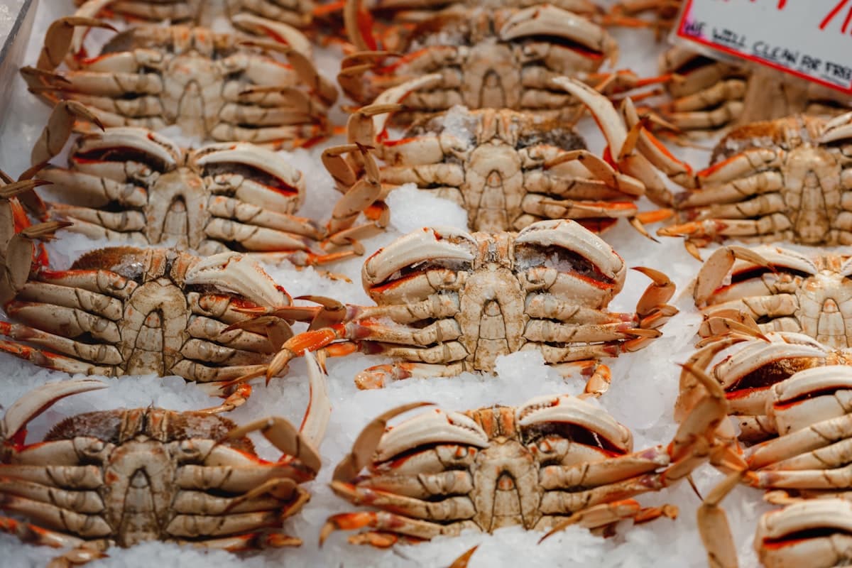 Crab